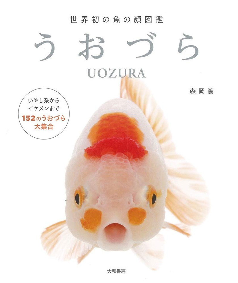 うおづら 世界初の魚の顔図鑑