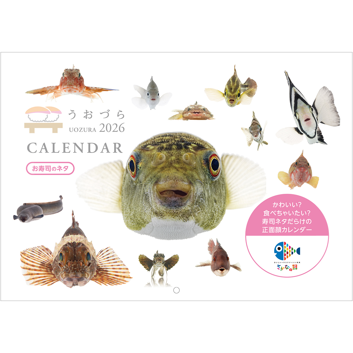 うおづらカレンダー2026 お寿司のネタ