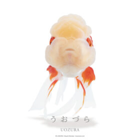 うおづら オランダ